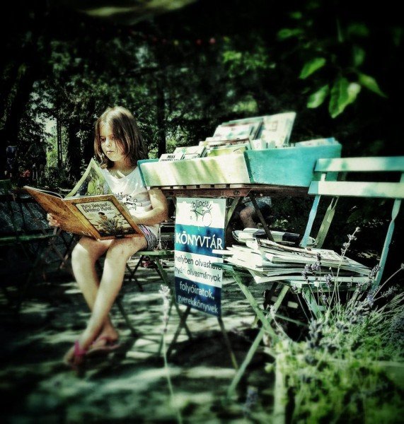 Lili és a bibliocikli