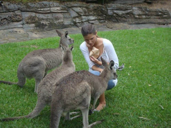 Fotó: Kovács Brigitta