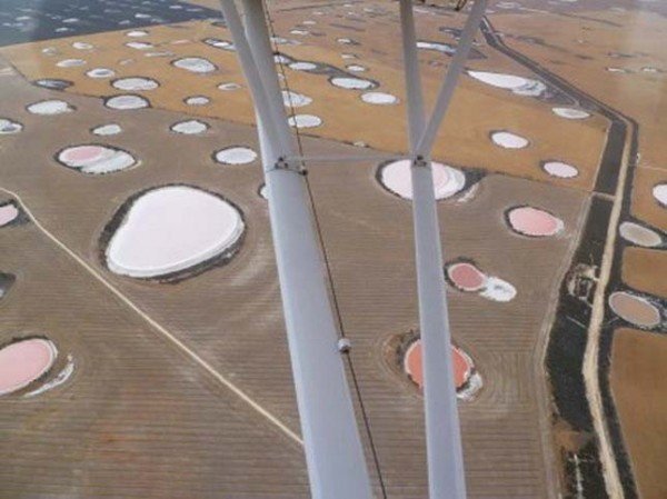field of pink lakes,australia