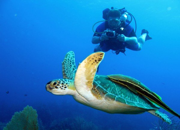 Vele szívesen barátkoznék...