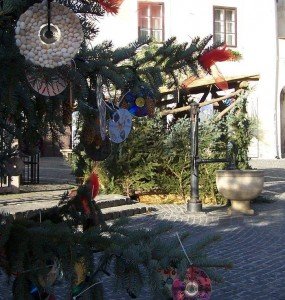 1472315_568723753210860_2120993668_n