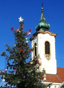 1479587_568723746544194_635543454_n