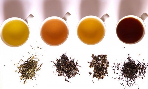 800px-Tea_in_different_grade_of_fermentation