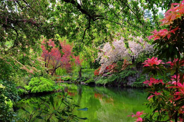 Butchart_garden-lake