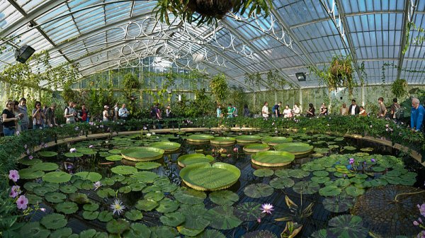 -Kew_Gardens_Waterlily_House