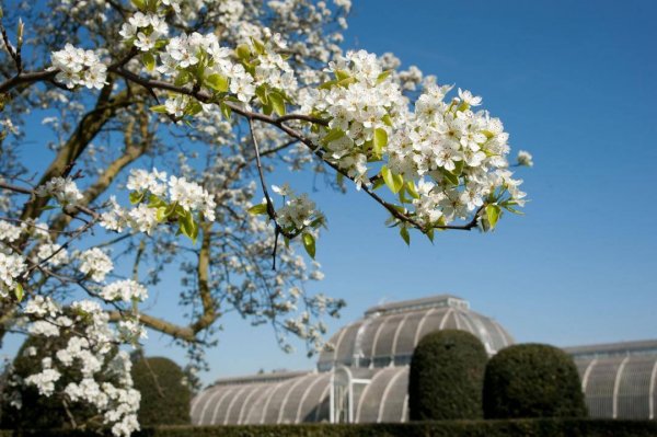 kew_1