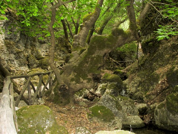 Butterfly_Valley_Rhodes