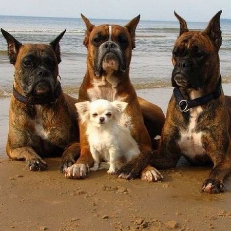 4d074ee0896c8fa4f7cb478120e51f6f