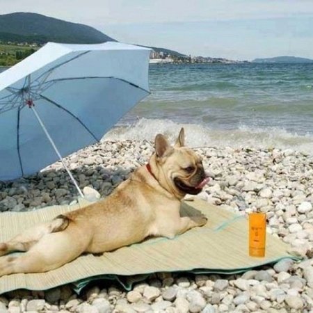 5be0b24f10b3a3d38bdf26a6cc870915