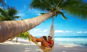 M_Id_424359_Traveller