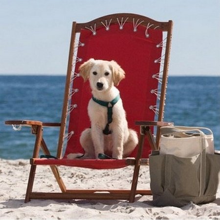 b1ff93d194d8b66d9f22635cf7e4afed