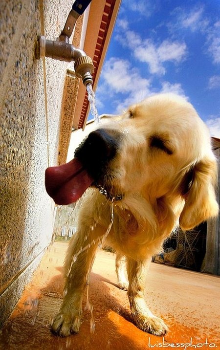 cf1dc240727e84079509895927dead5b