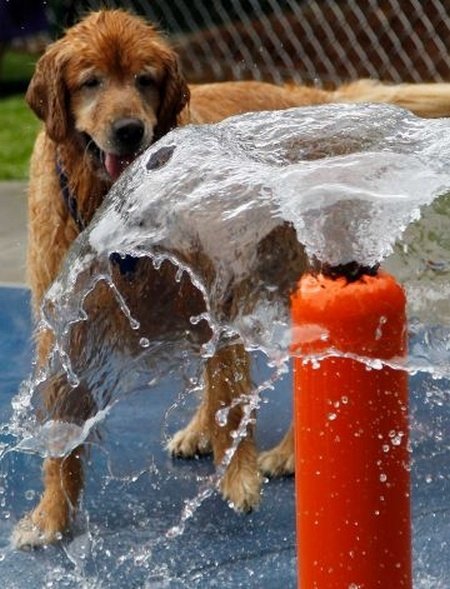 d39f2a399916d20500364c404b511fe1