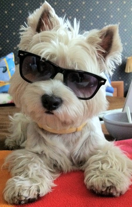 f12da1d3d093c978cee1b42037718929