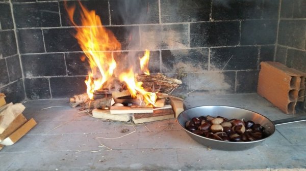 chateigne_1_27092014_c