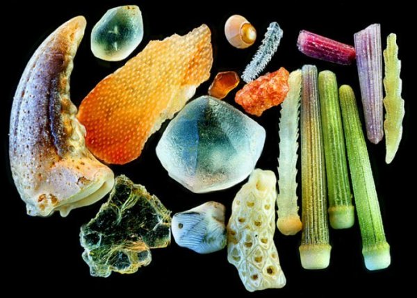 magnified sand_2