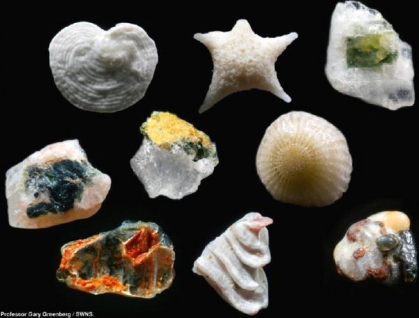 sand grains magnified