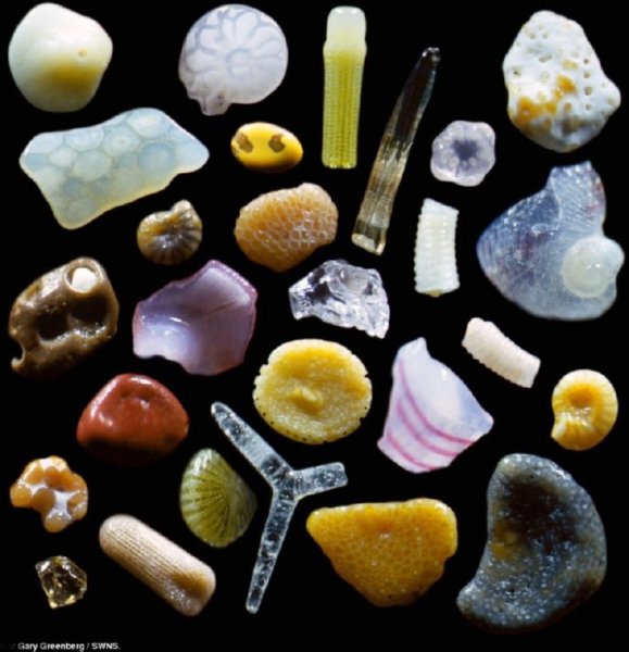 sand magnified