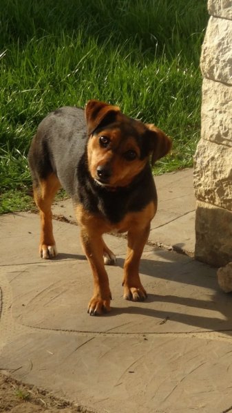 Nem lehet rá haragudni