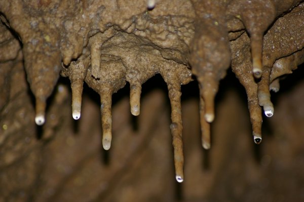 Gergely_Tibor_Abaligeti-barlang_01