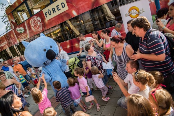 balatoni-minimax-hajo-original-66130