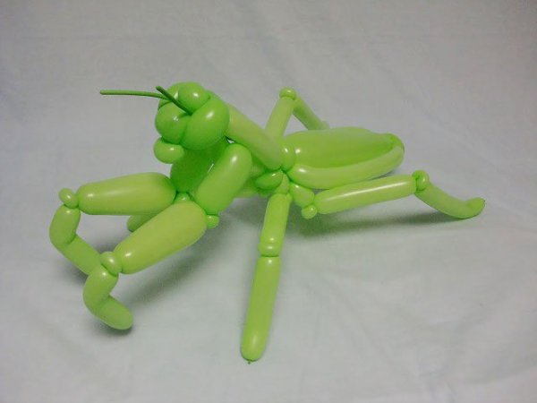 realistic-balloon-animal-art-masayoshi-matsumoto-japan-151