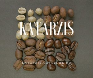 katarzis-300x252