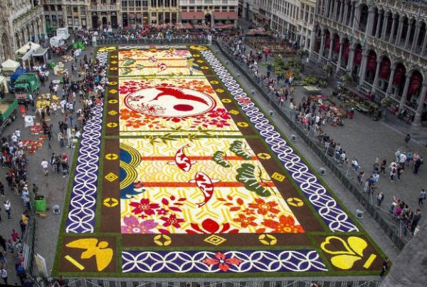 Flower-Carpet-2016_6.jpg-Wim-Vanmaele