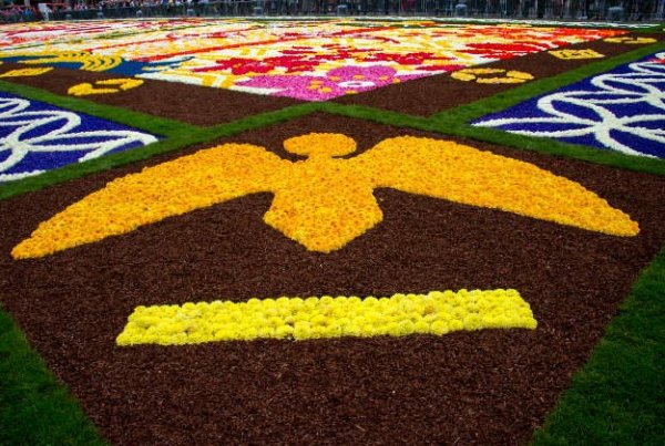 Flower-Carpet_2